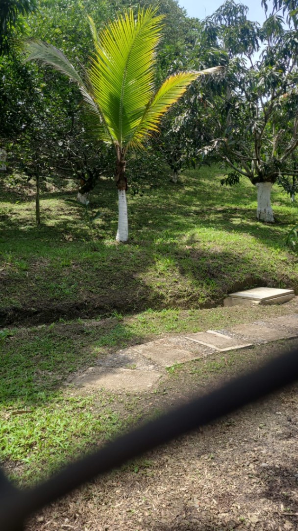 Vía Vda. San Antonio, Apulo, Cundinamarca, Colombia 5